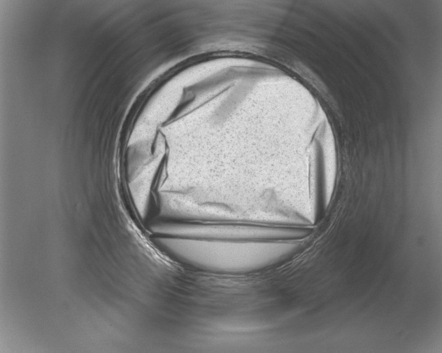 X0000079581028200612301401