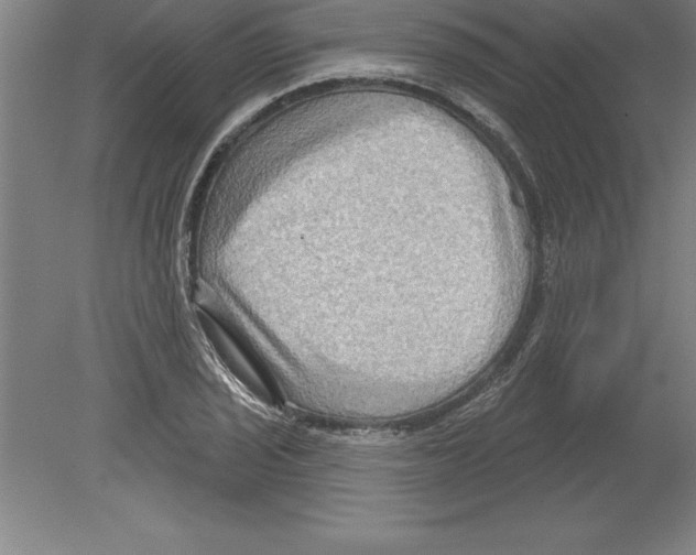 X0000079581029200612301401