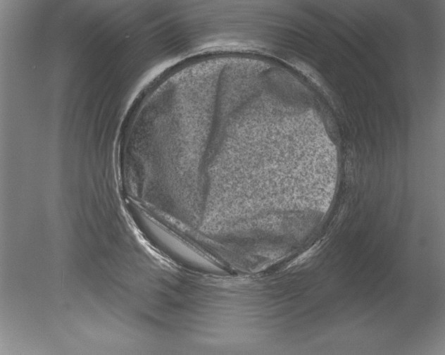 X0000079581030200612301401