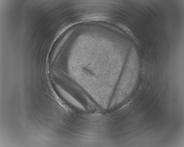 X0000079581031200612301401