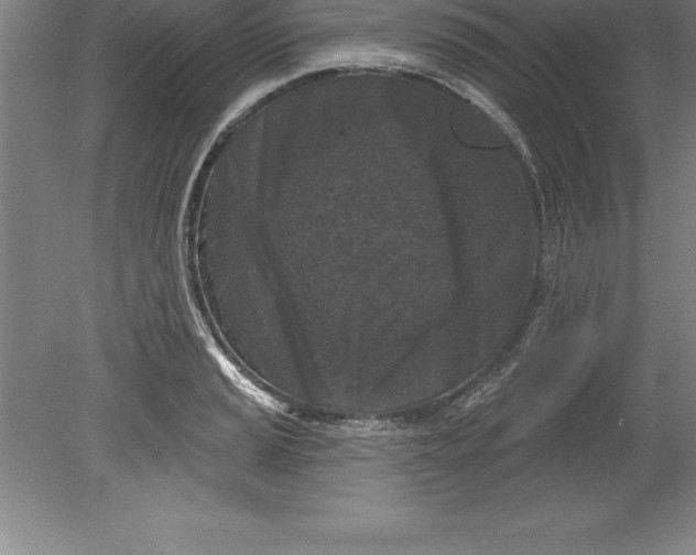 X0000079581037200612301401