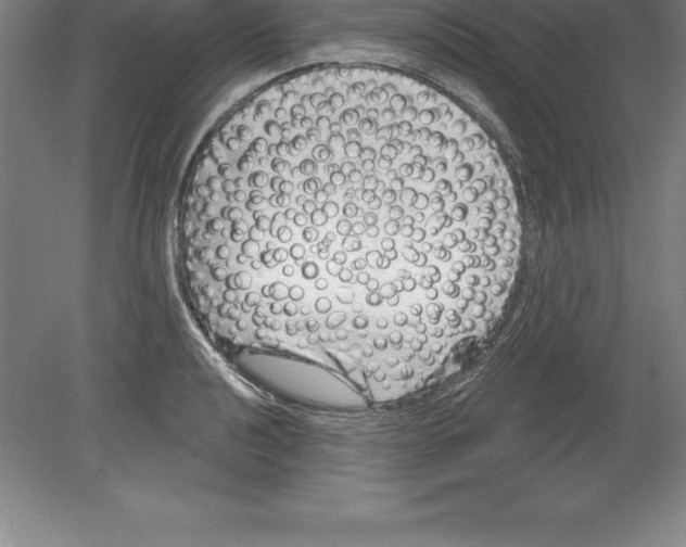 X0000079581040200612301401