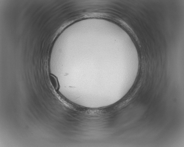 X0000079581041200612301401