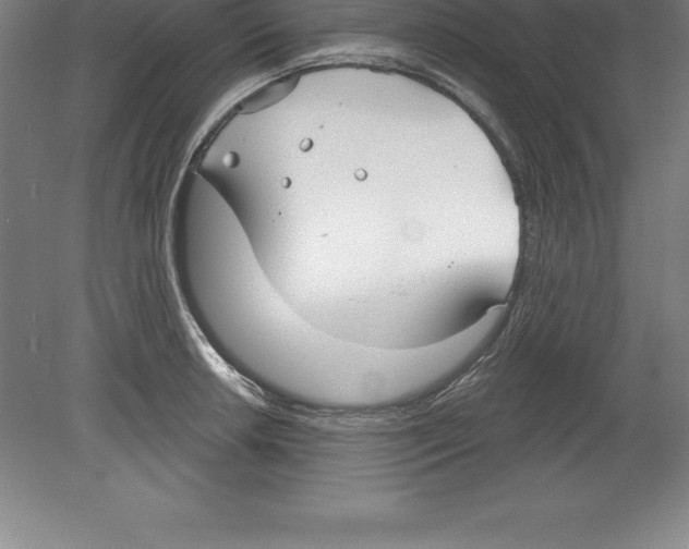 X0000079581042200612301401