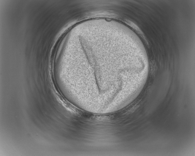 X0000079581043200612301401