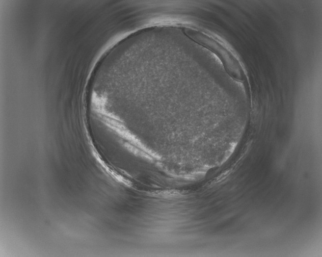 X0000079581045200612301401