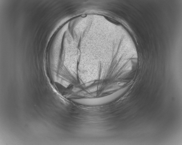 X0000079581048200612301402