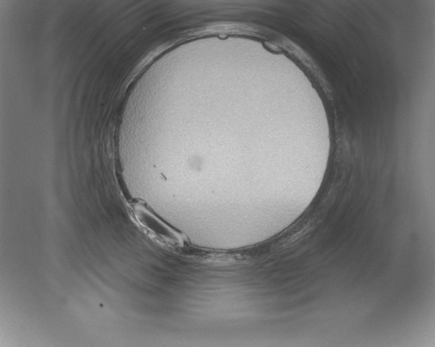 X0000079581049200612301402