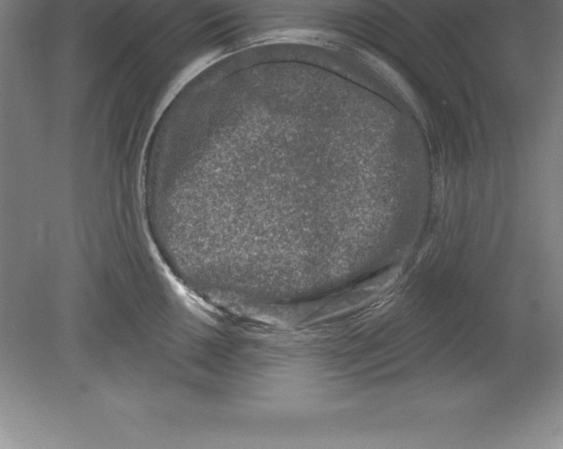 X0000079581050200612301402