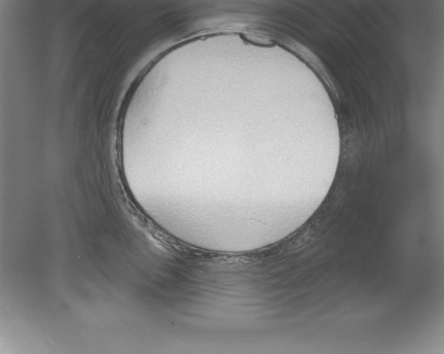 X0000079581051200612301402