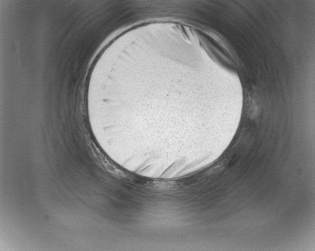 X0000079581052200612301402