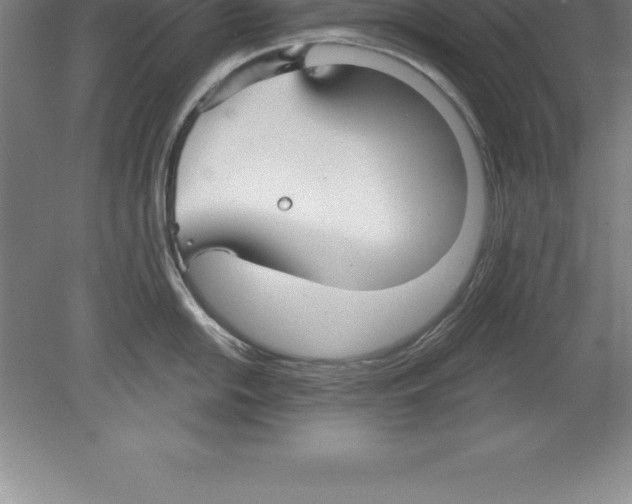 X0000079581054200612301402