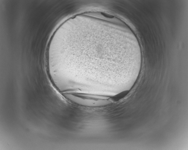 X0000079581056200612301402