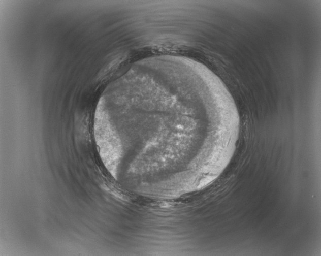 X0000079581060200612301401