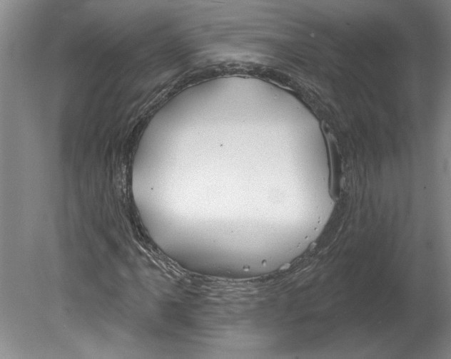 X0000079581061200612301401