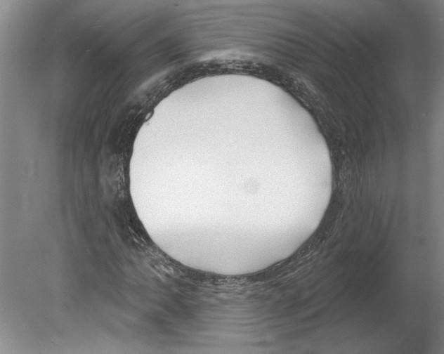 X0000079581062200612301401