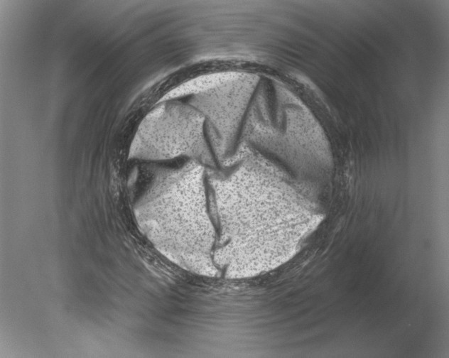 X0000079581064200612301401