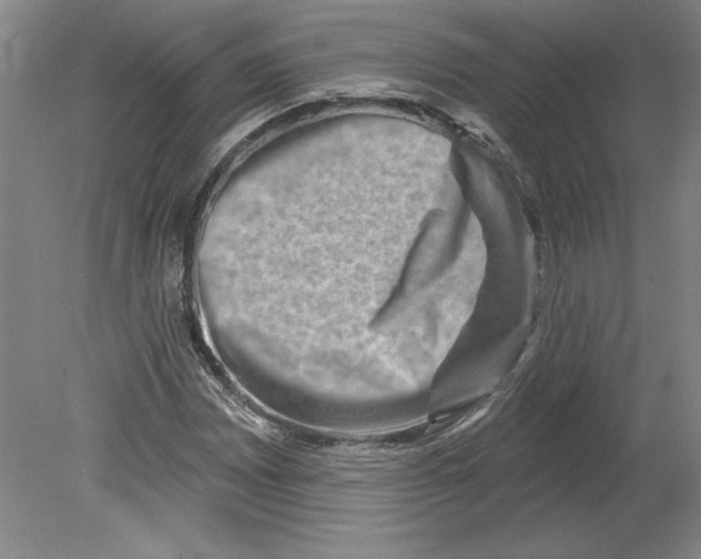 X0000079581065200612301401