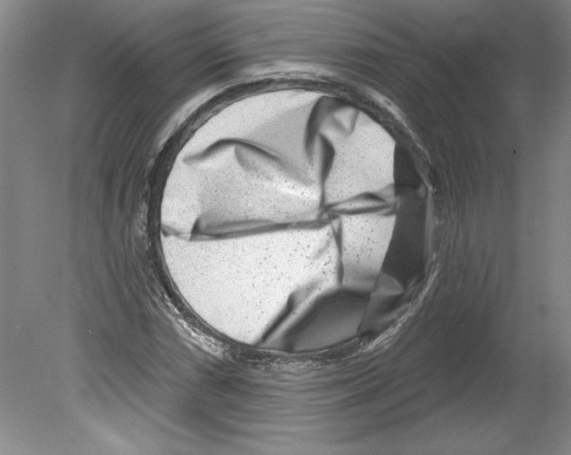 X0000079581066200612301401