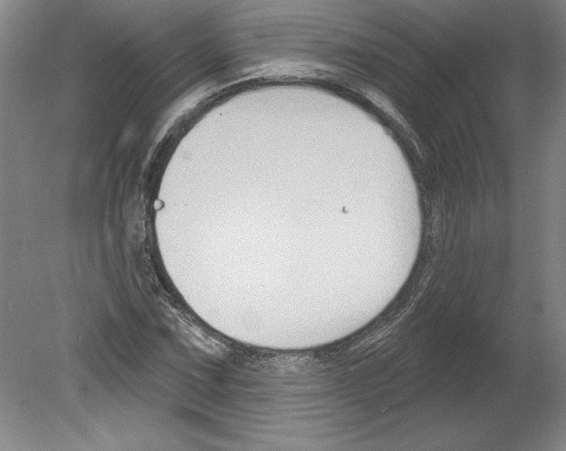 X0000079581067200612301401