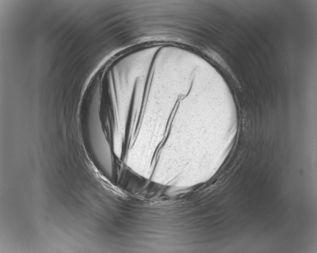 X0000079581068200612301401