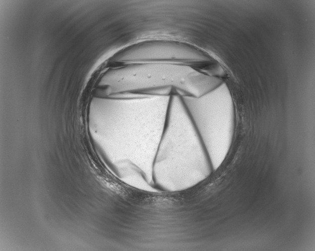 X0000079581070200612301401