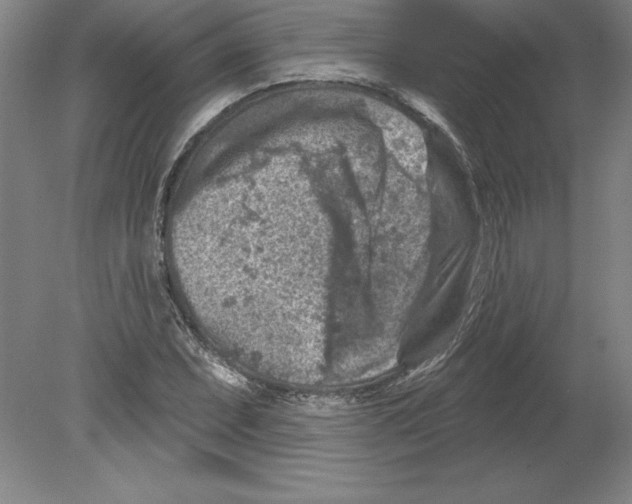 X0000079581071200612301401