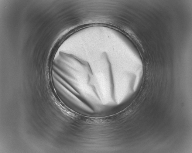 X0000079581072200612301401