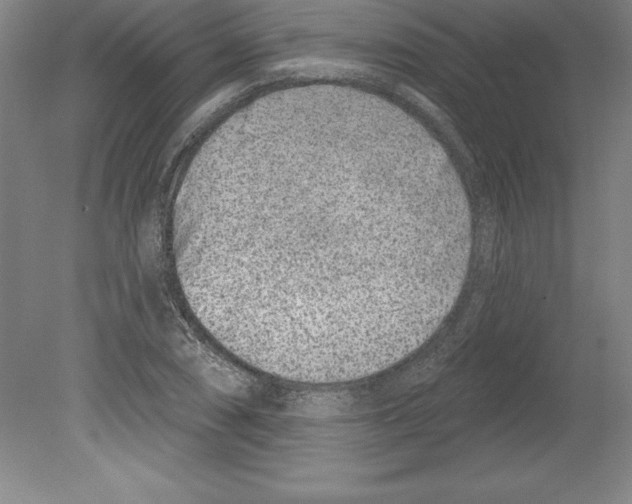 X0000079581074200612301401