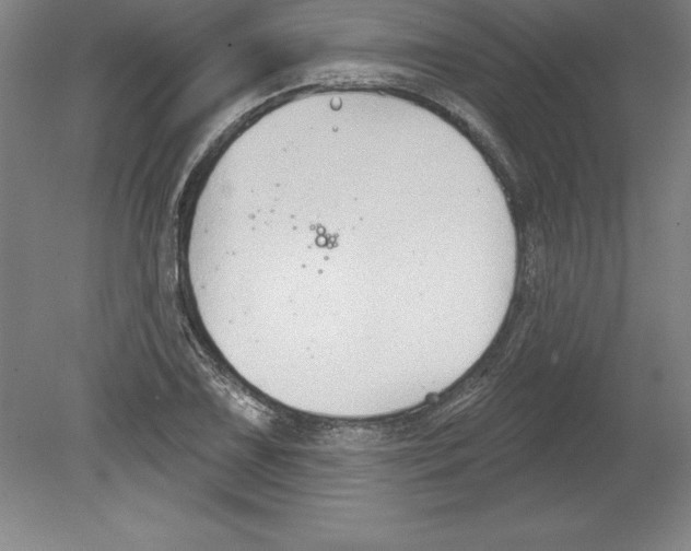 X0000079581075200612301401