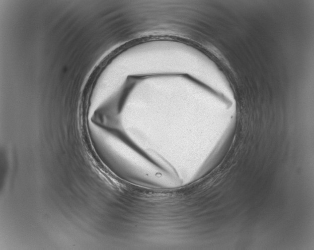 X0000079581076200612301401