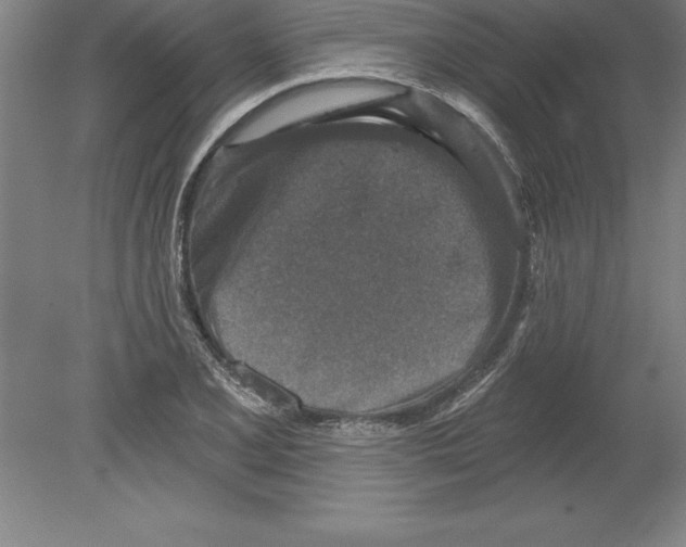 X0000079581077200612301401