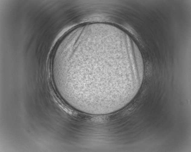 X0000079581078200612301400