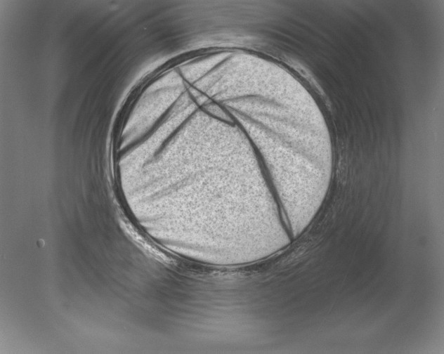 X0000079581080200612301400