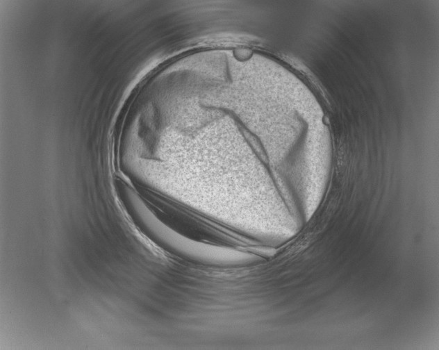 X0000079581083200612301400