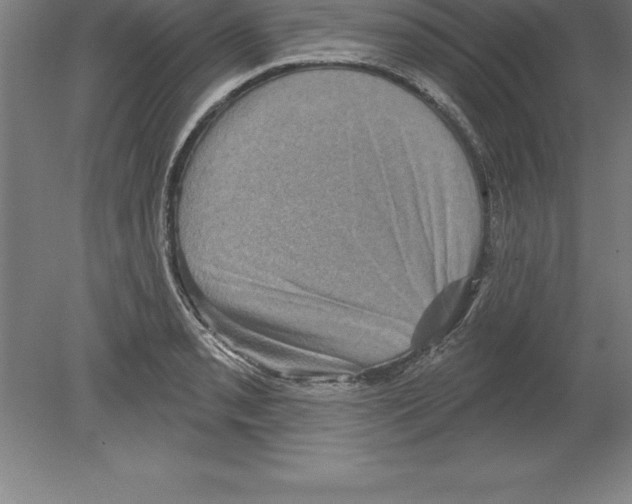 X0000079581085200612301400