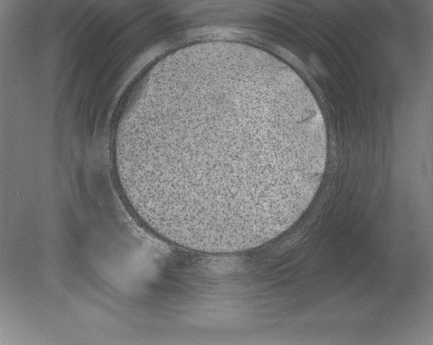 X0000079581090200612301400