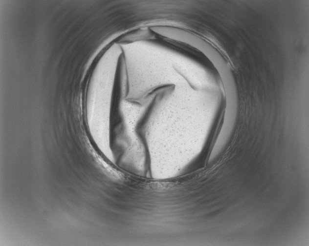 X0000079581092200612301400