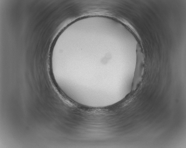 X0000079581093200612301400