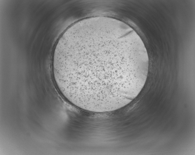 X0000079581094200612301400