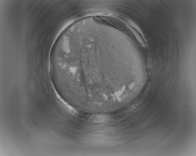 X0000079581095200612301400