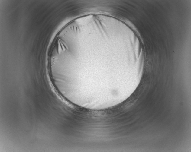 X0000079581096200612301400