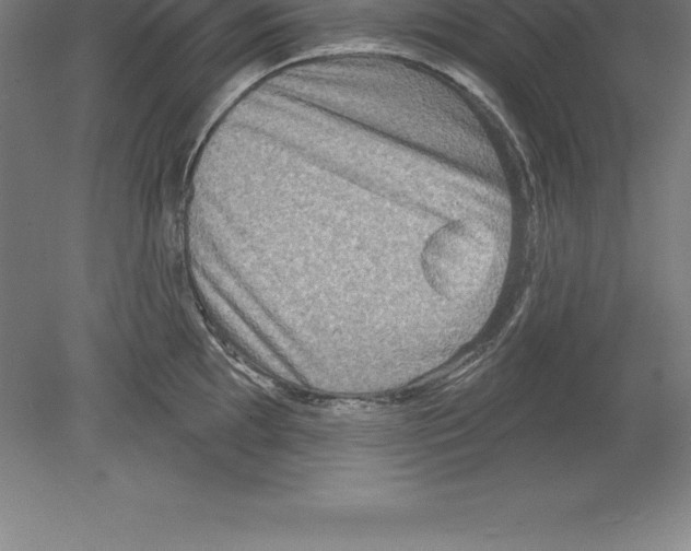 X0000079581097200612301400