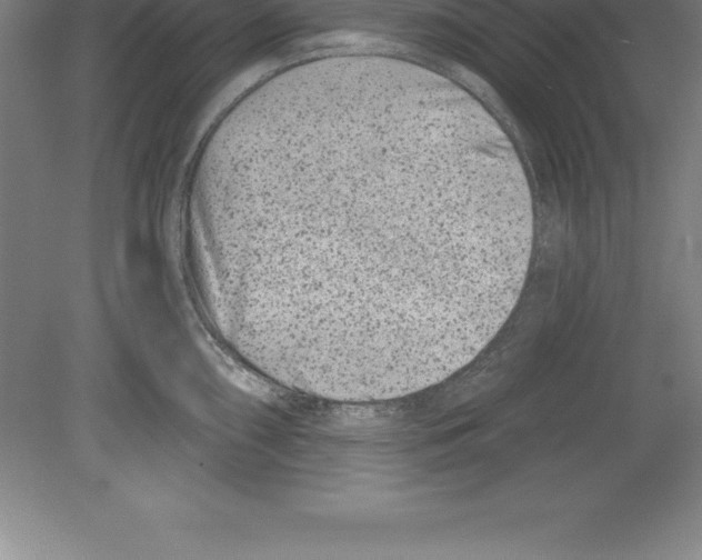 X0000079581098200612301400