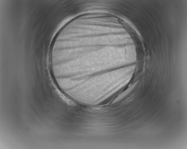 X0000079581101200612301400