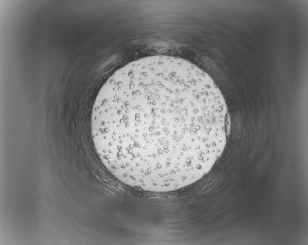 X0000079581105200612301359