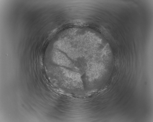 X0000079581106200612301359