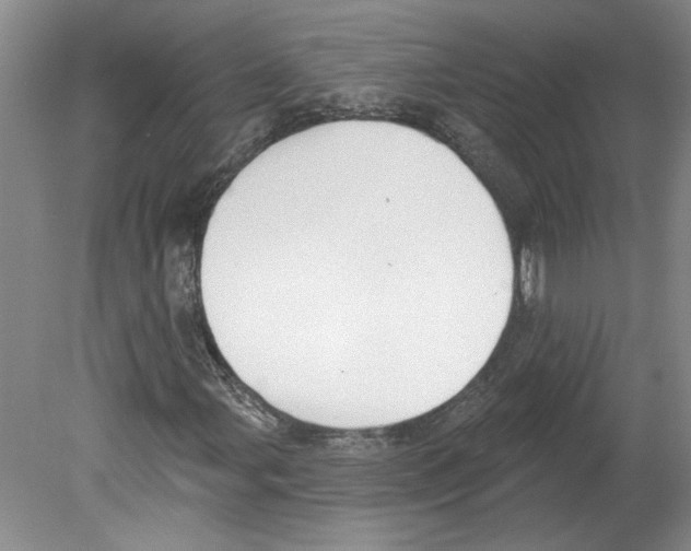 X0000079581107200612301359