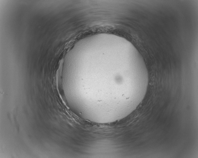 X0000079581109200612301359