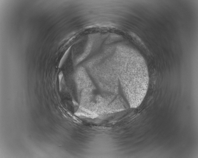 X0000079581110200612301359